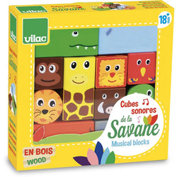 Savanna Musical Blocks