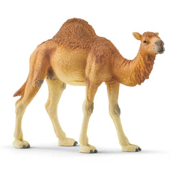 Dromedary - Schleich
