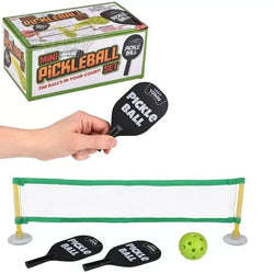 Desktop Pickleball Set