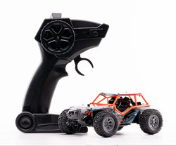Litehawk Mini Big Tom R/C