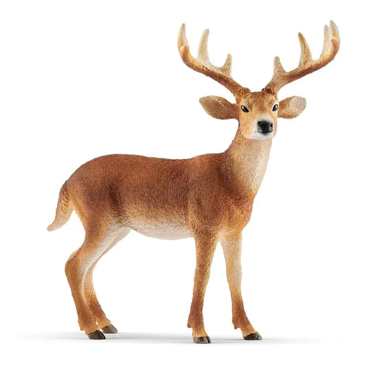 White-tailed Buck - Schleich