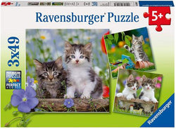 Cuddly Kittens - 3 x 49pc Puzzle Ravensburger