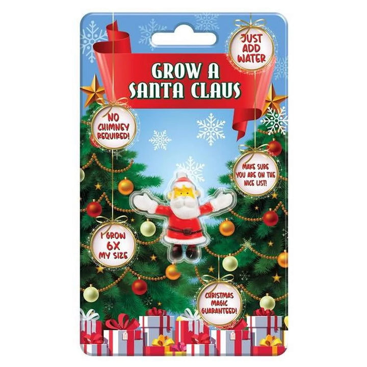 Grow A Santa – The Rocking Horse Shop