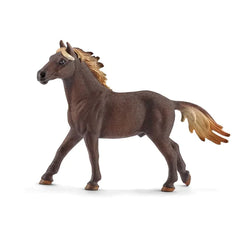 Mustang Stallion