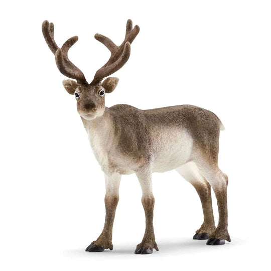 Reindeer - Schleich