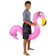 Flamingo Ride-On Pool Noodle