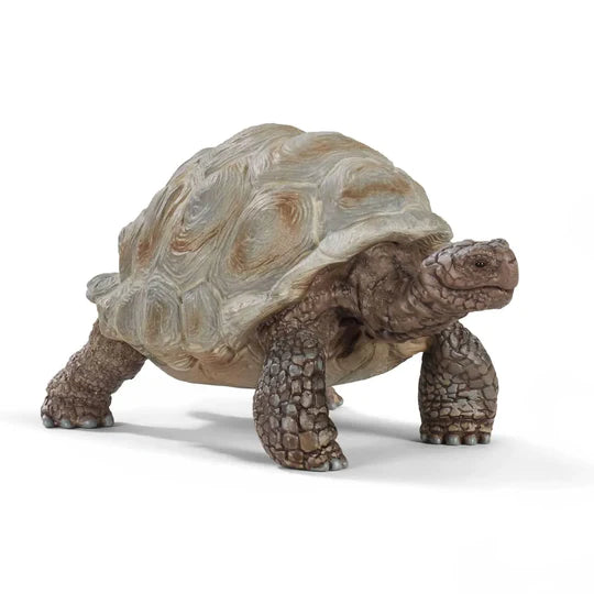 Giant Tortoise - Schleich
