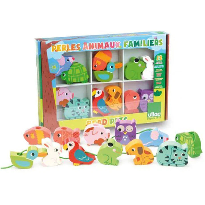 Pets Bead Threading Set