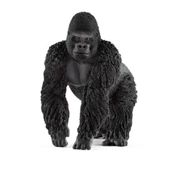 Gorilla:Male