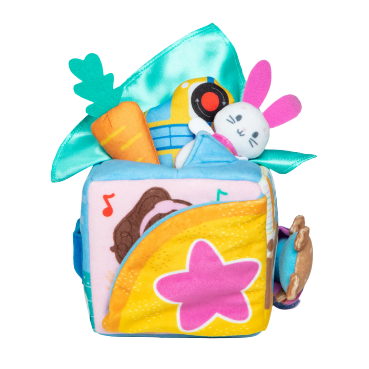 Ms Rachel Surprise Learning Box