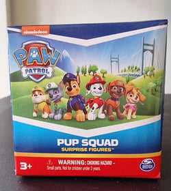 Paw Patrol Pup Squad Blind Pack Figure Assortment