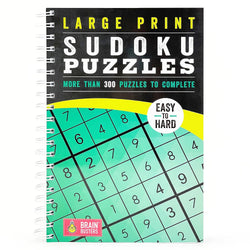 Large Print Sudoku Puzzle