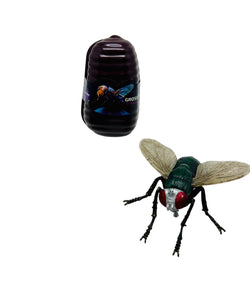 Gross Insects 3D Puzzle Set Assortment - Tedco Toys