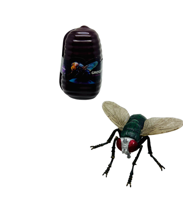 Gross Insects 3D Puzzle Set Assortment - Tedco Toys