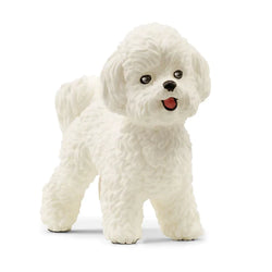 Bichon Frise - Schleich