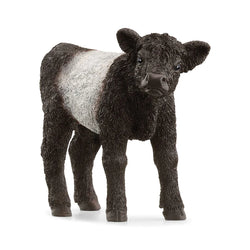 Galloway Calf - Schleich