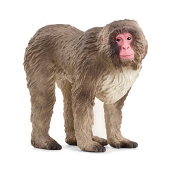 Japanese Macaque - Schleich