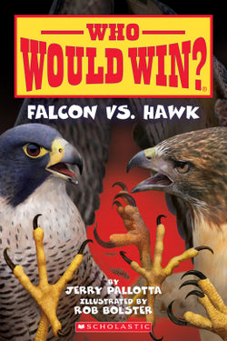 Who Would Win Falcon Vs Hawk