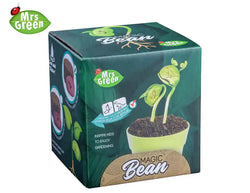 Magic Bean Growing Kit