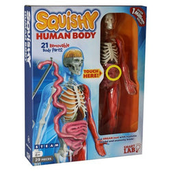Squishy Human Body