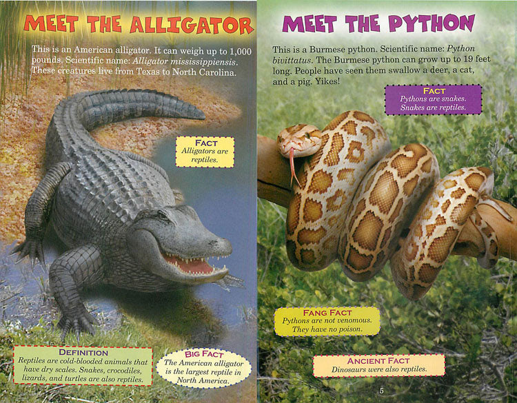 Who Would Win?: Alligator vs Python – The Rocking Horse Shop
