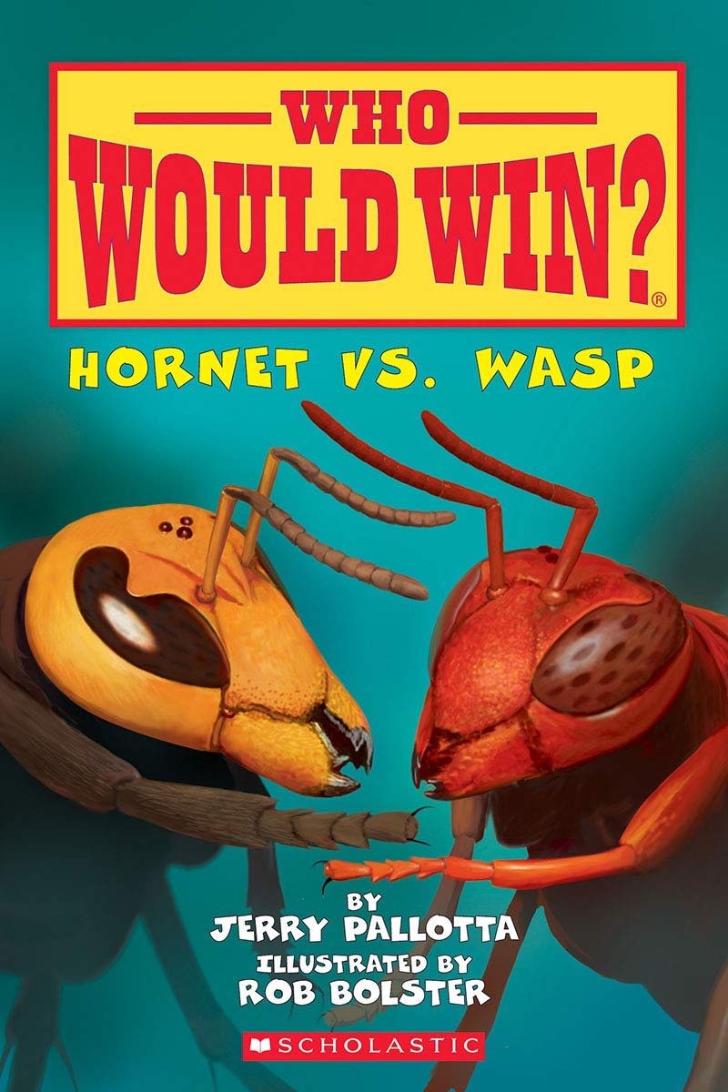 Who Would Win? Hornet Vs Wasp – The Rocking Horse Shop