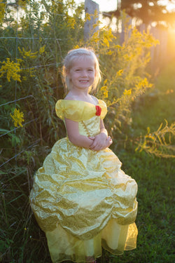 Deluxe Belle Dress Sz 3-4