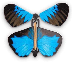 Wind-up Australian Butterflies