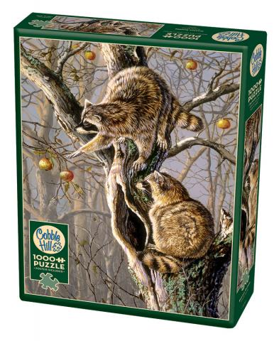 Ringtail Raiders 1000pc