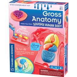 Gross Anatomy: Make-Your-Own Squishy Human Body