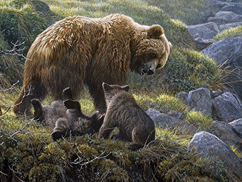 Grizzly Family 350pc Family Puzzle