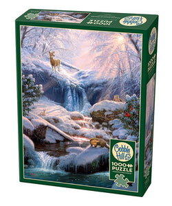 Mystic Falls in Winter - 1000pc