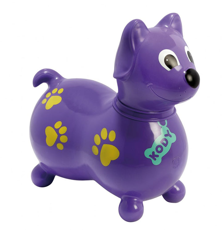 Kody Purple Dog Bouncer