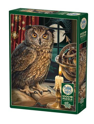 The Astrologer 1000pc Cobble Hill