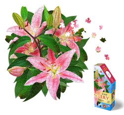 I AM Lily 350pc